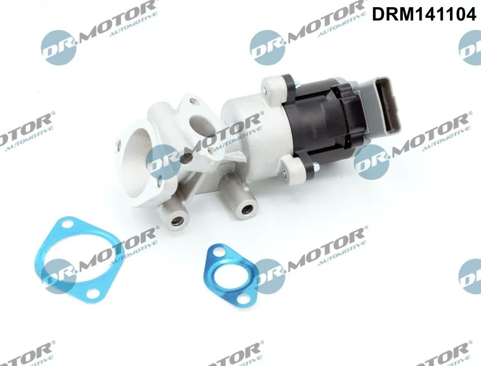 EGR Valve